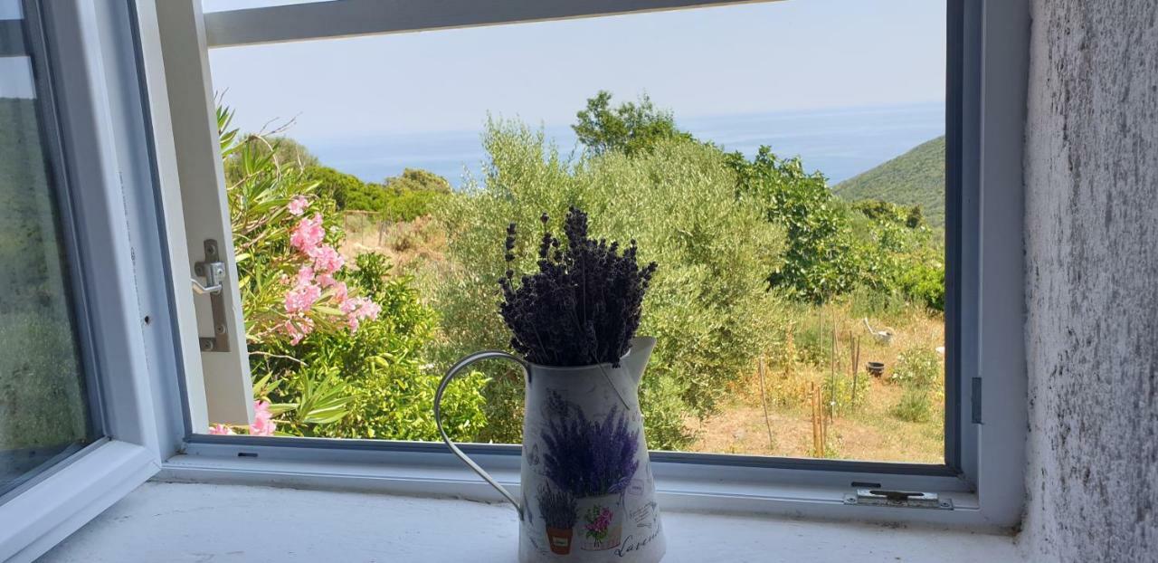 Apartment 4M Cunski Bagian luar foto